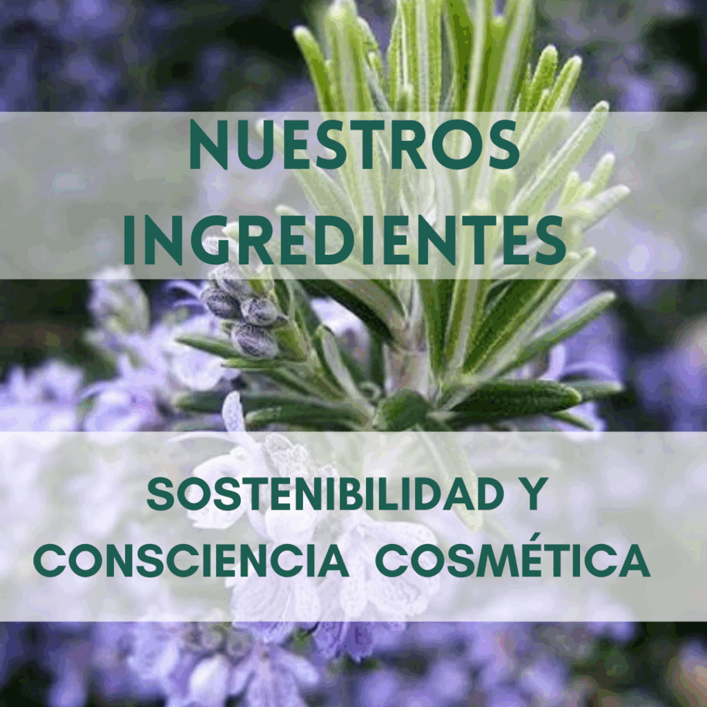 Nuestros ingredientes