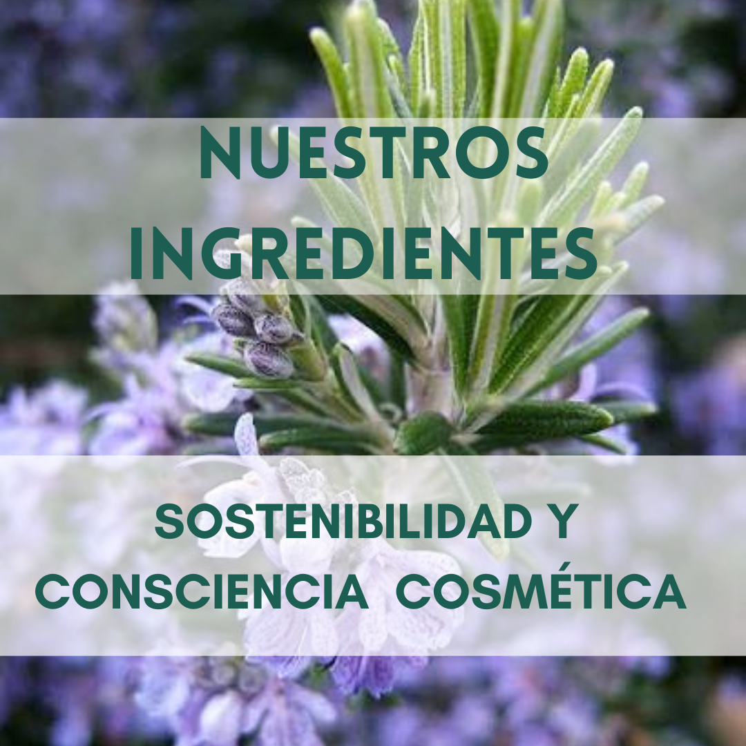 Nuestros ingredientes