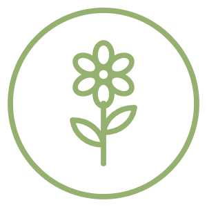 Icono de una flor: cosmética natural